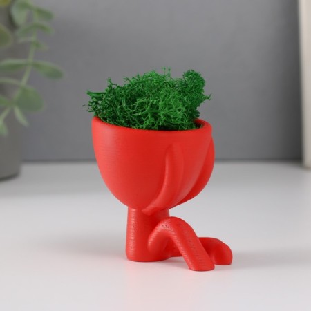 Kashpo concrete mini "Mr. Green" Mizaru with moss red 5.5x6.5x6.5 cm (moss green stabil)-1