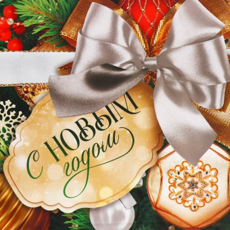 Package laminated vertical “Gift for you”, ML 21 x 25 x 8 cm, New Year-5