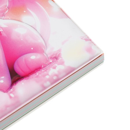Notebook Gift Book on the comb 80l, line, color block, PVC Cat cover 3D (17.6x13.5cm) 105-6