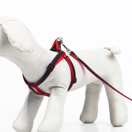 Kit "jeans", leash 120 x 1 cm, og 25-40 cm, red-2