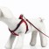 Kit "jeans", leash 120 x 1 cm, og 25-40 cm, red