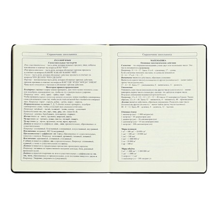 Diary 1-11 Grade "Kisul Vasily", artificial leather, foam, foil embossing, 48 sheets-10