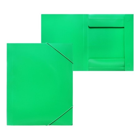 A4, 500MKM, calligrata elastic band on elastic band, a root of 25 mm, up to 230 sheets, embossing "sand", green-5