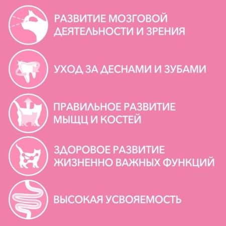 Wet feed Purin One for kittens, chicken/carrots, 75 g-2