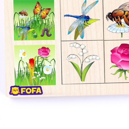 Training board Association "Flora and Fauna"-3