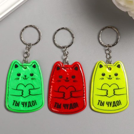 A keychain plastic reference "Cat with a heart - you miracle" mix 5x4 cm-2
