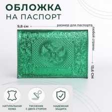 Cover for passport, green color