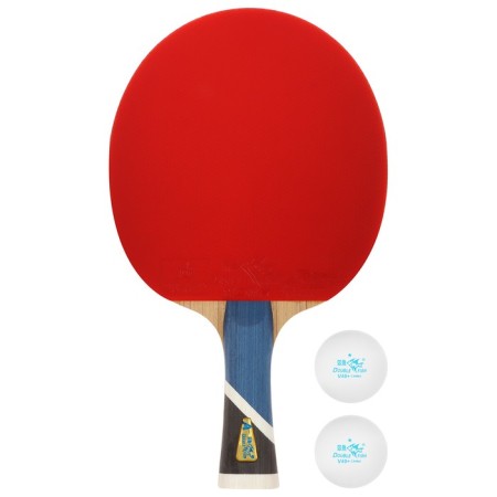 Table tennis set Double Fish 5A-C: 1 Rocket, 2 goals