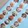 Stickers in the roll "Beast", 500 pcs, 2.5 x 2.5 cm