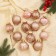 Set of balls plastic D-5 cm, 12 pcs "Festival"