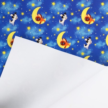 Packaging paper, 70x100 cm, kitten named Gav-2