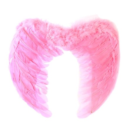 Angel wings, 55 × 40 cm, pink