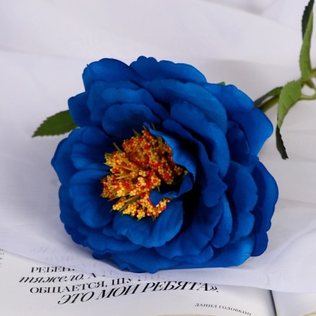 Artificial flowers "Rose Pretty" D-10 cm 55 cm, blue-1