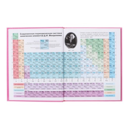 Diary 5-11 class Cat, 48 sheets, solid cover, glossy lamination, foil embossing, offset block-3