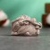 Figure "Dragon" brown, 5x3x3cm
