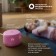 Smart Column "Yandex Station Light 2" (YndX-00026PNK), 6W, Wi-Fi, Alice on Yagpt, Pink