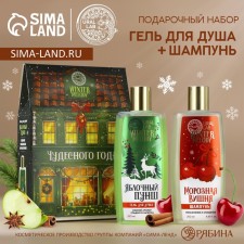 Gift set of cosmetics, shower gel 250 ml and hair shampoo 250 ml, Winter Melody by Ural Lab
