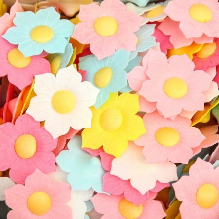 Waffle daffodils, mix, 200 pcs.-2