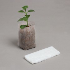 Packet for seedlings, 8 × 11 cm, spanbond with a density of 40 g/m², Greengo