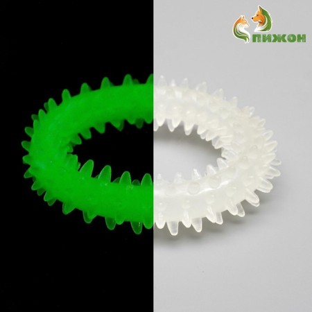 A toy for dogs lining in the dark, "Ring with spikes", 9 cm