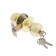 Standard latch "Standard" 607 et GP, color gold