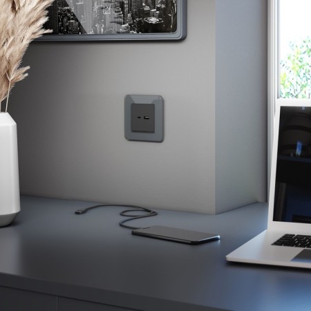 Frame W0012440, 1 ELITE socket, graphite, glass-1