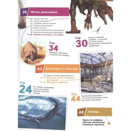 Dinosaurs. Monsters from the past. Baur M.-2