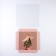 Cookie box, confectionery packaging with PVC lid, Make Today Magic, 18 x 18 x 3 cm