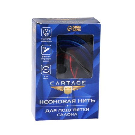 Cartage neon thread for lighting salon, 12 V power adapter, 7 m, blue-4