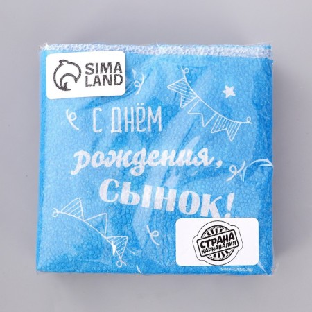 Paper napkins “Happy birthday, son”, single -layer, 24 × 24 cm, 20 pcs.-3