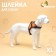 Shleka K7 soft reflective, size XL, OG 74-92 cm, weight 28-47.5 kg, orange
