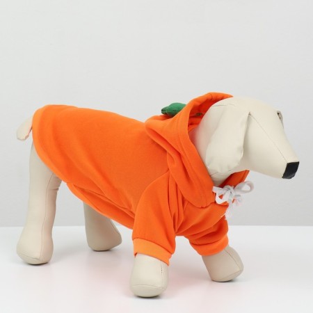 Sweep "Favorite Carrot", Size L (DS 35, OG 50 cm)-3