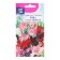 Flower seeds fragrant peas "piano", a mixture of colors, 1g