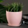 Flower pot "Jaraldin" 0.8l