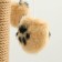 Clawing with three toys, 35 x 35 x 53 cm, beige with black paws