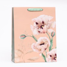 Gift package 