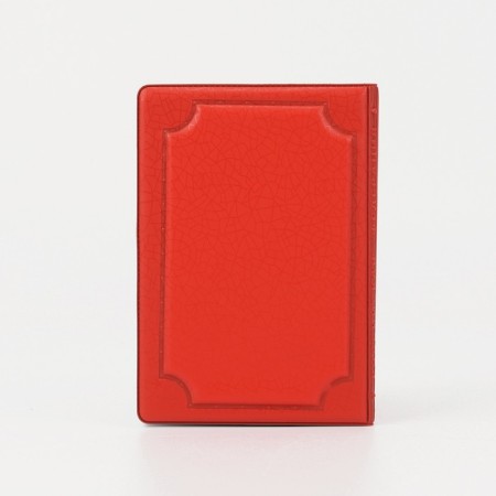 Cover for passport, red color-1