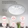 Lamp SPB-6-12-6.5K Meduza 12W 6500K