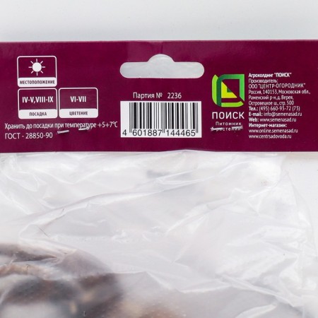 Eremurus hybrid shellford, 1 pc, rr I, spring 2025-1