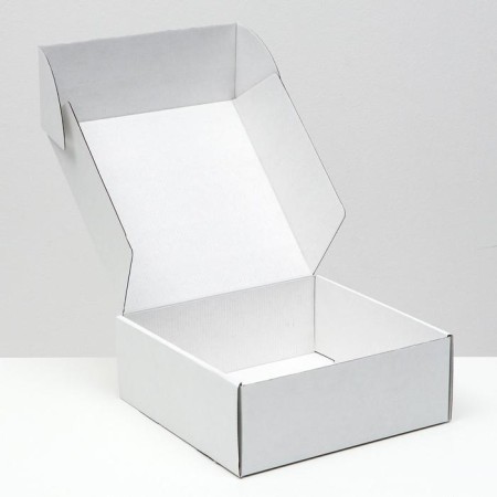 Self -charged box, white, 25 x 25 x 9.5 cm-1