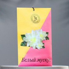 Sasha aromatic 