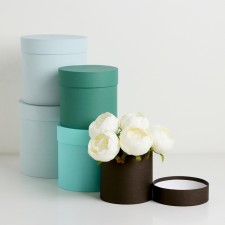Set of hats 5 in 1 