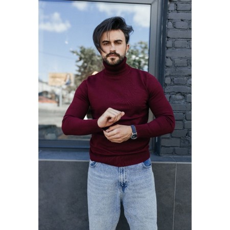 Jumper male ise, size 56, burgundy color-1