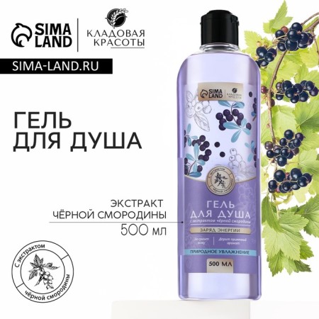 Shower gel with blackcurrant extract, 500 ml, pantry of beauty