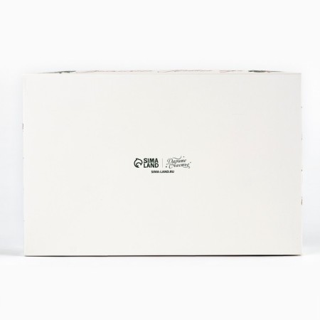 Box for Musser cakes "Magic New Year", 27 x 17.8 x 6.5 cm, New Year-4