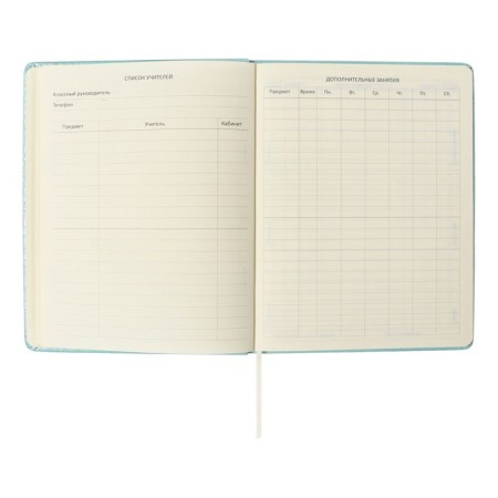 Universal diary for grade 1-11 Leaf, solid cover, artificial leather, foam, embossing foil, liesse, 80 g/m2-5