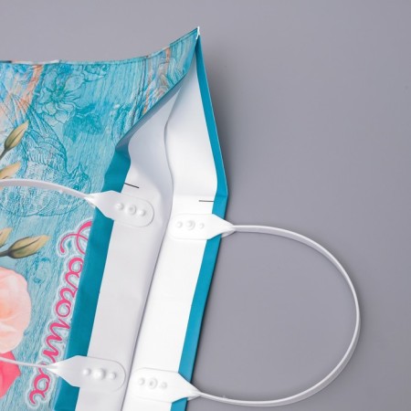 Carolina package, polyethylene with a plastic pen, 80 μm, 37 x 34 cm-1