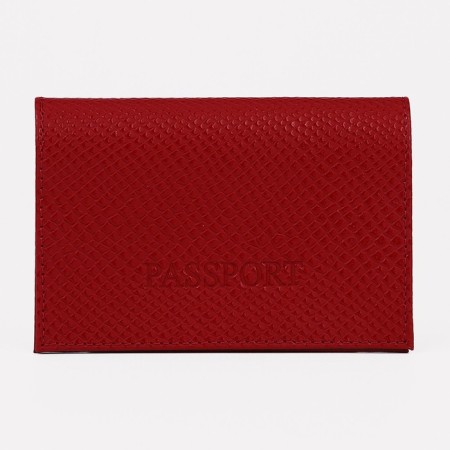 Cover for passport, red color
