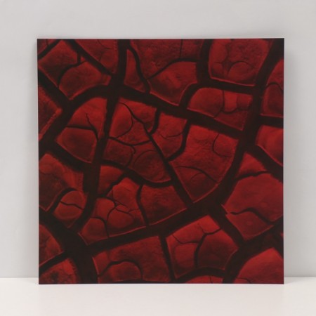 Photophone bilateral cardboard density 350 g "Cracks" 50x50 cm-2