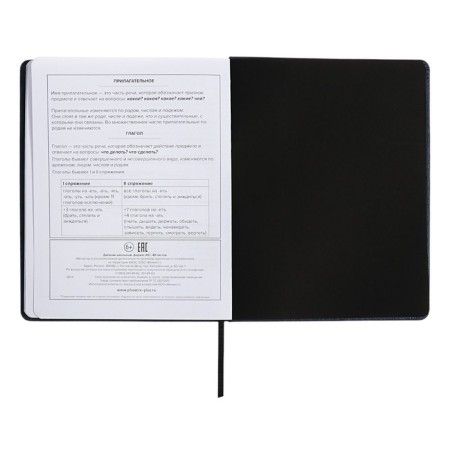 School diary for grades 1-11, solid cover, artificial leather, applique, pancake embossing, metal scruffies, silk-films, lies, 48 ​​sheets, block 80g/m2, black-12